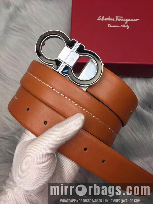Ferragamo 34mmX95-125 7D51