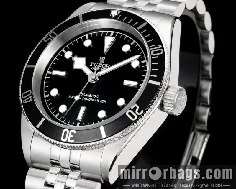 Tudor 41mm 022113