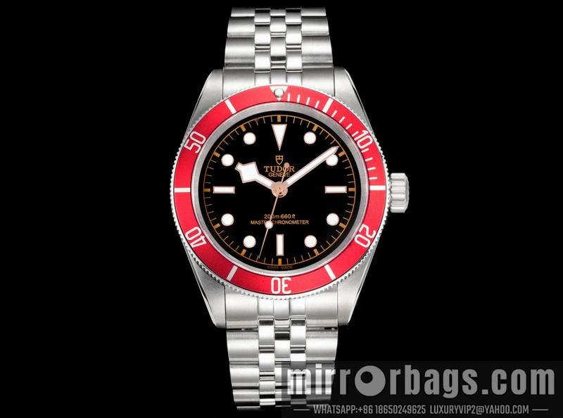 Tudor 41mm 022113