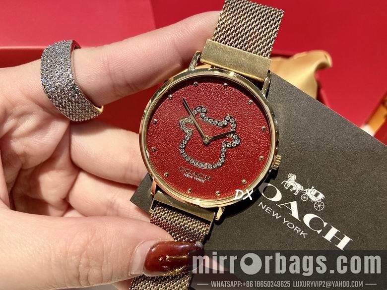 Coach 36x7.5mm 2nms21