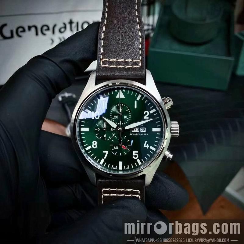 IWC watch 050312