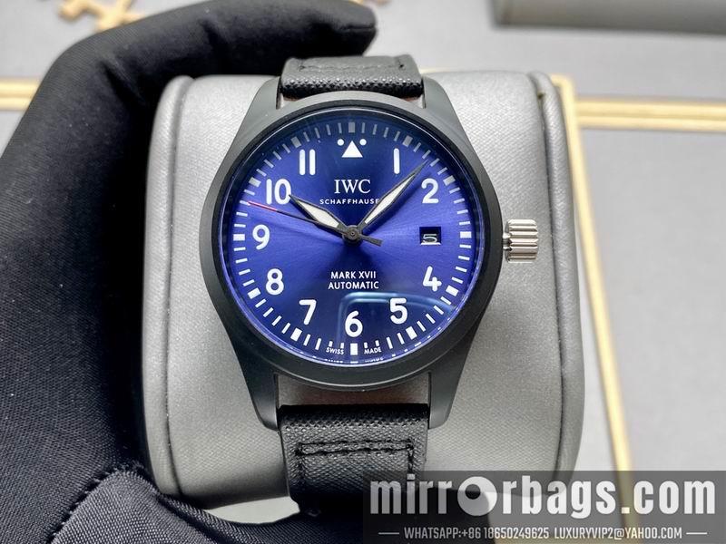 IWC 40X13mm 0506158