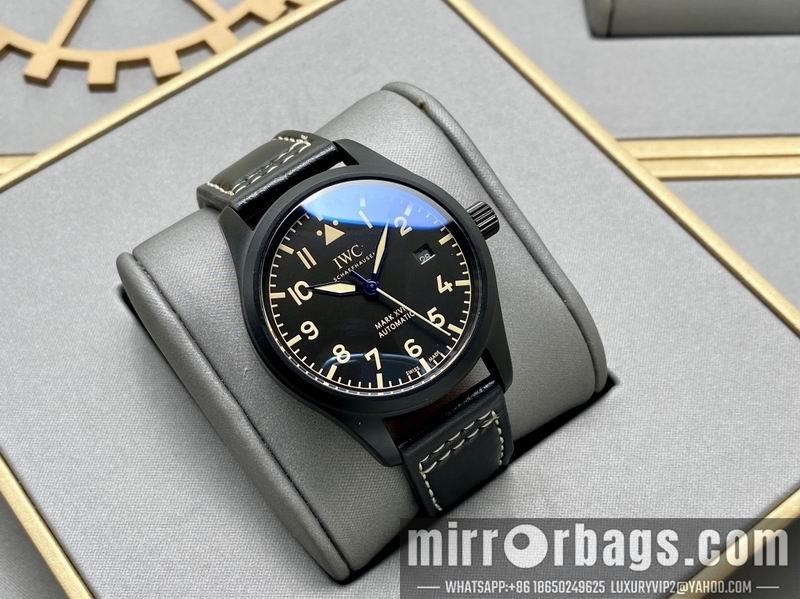 IWC 40X13mm 0506162
