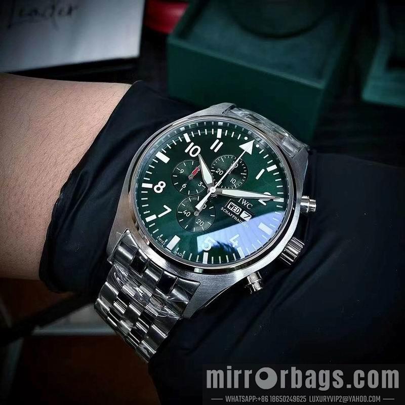 IWC watch 050313