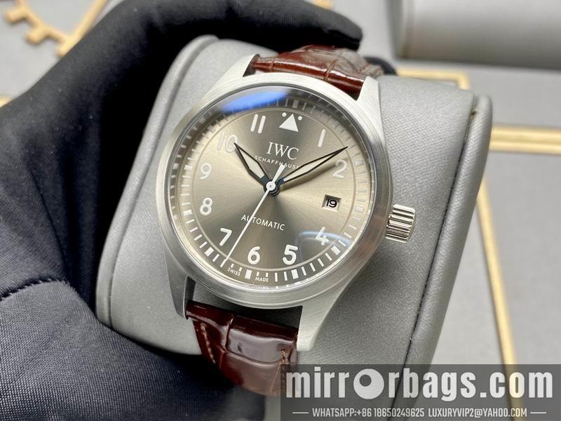 IWC 40X13mm 0506161