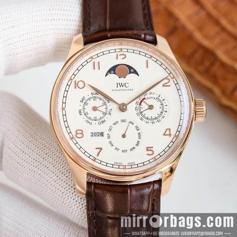 IWC 42.2X14.9mm 050464
