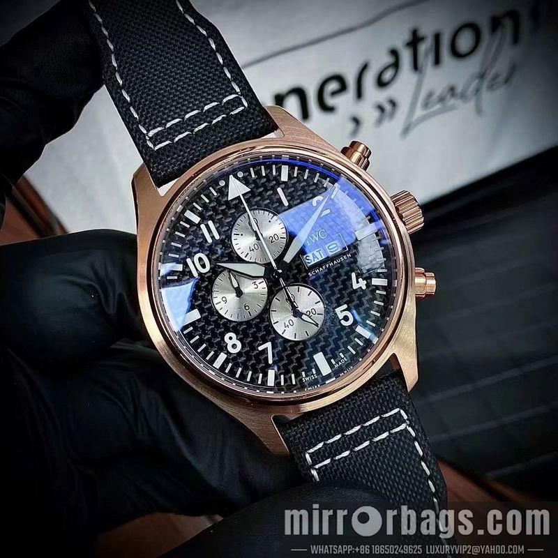 IWC watch 050311