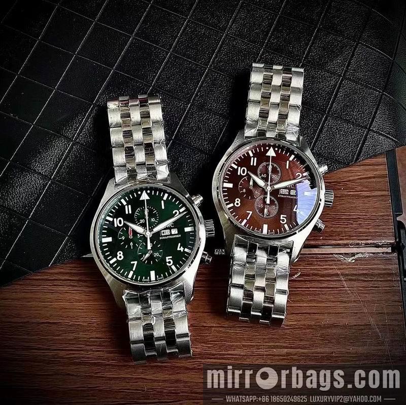 IWC watch 050313