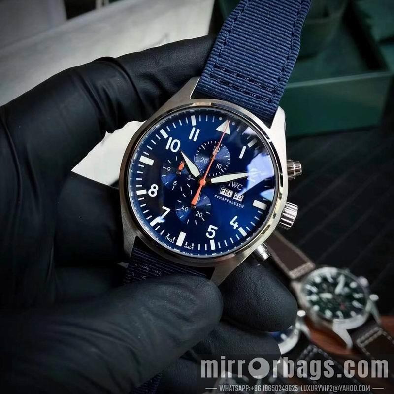 IWC watch 050312