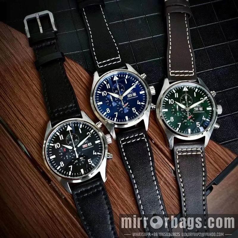 IWC watch 050312