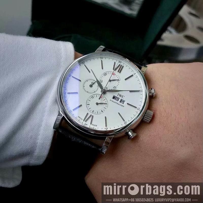 IWC 43X13mm 050325