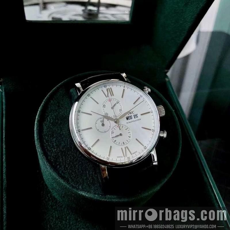 IWC 43X13mm 050325