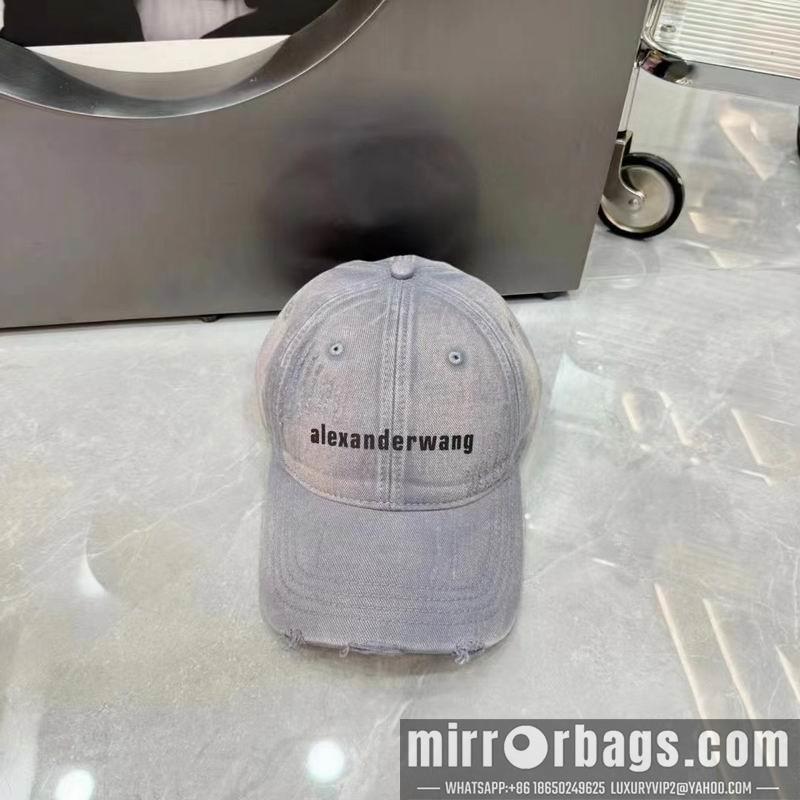 Alexander Wang Hat dx05