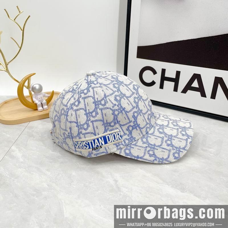 Dior Hat dx12