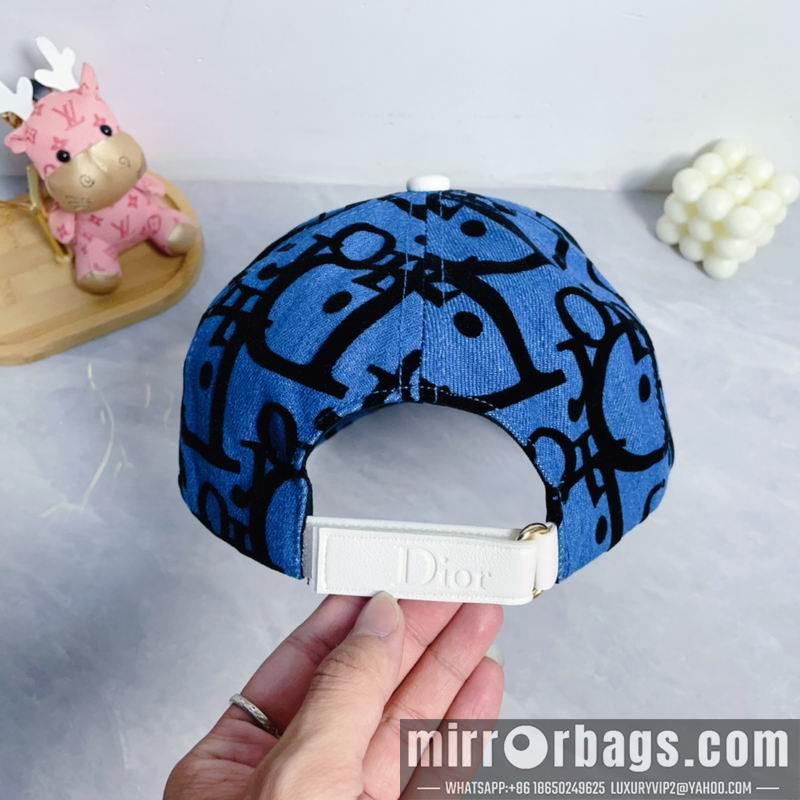 Dior Hat dx09