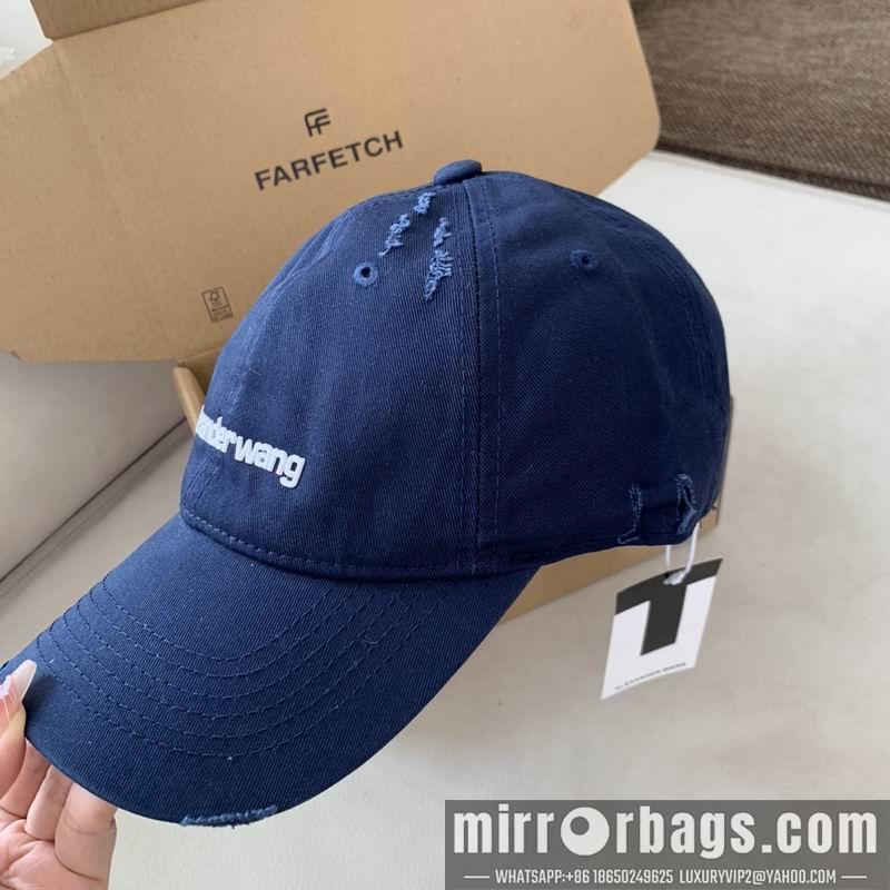 Alexander Wang Hat dx13