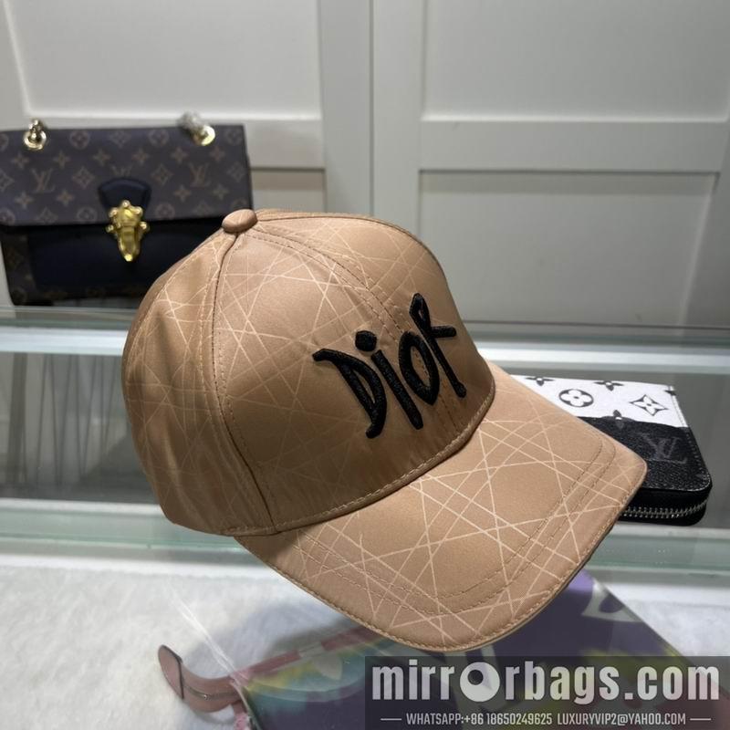 Dior Hat dx58