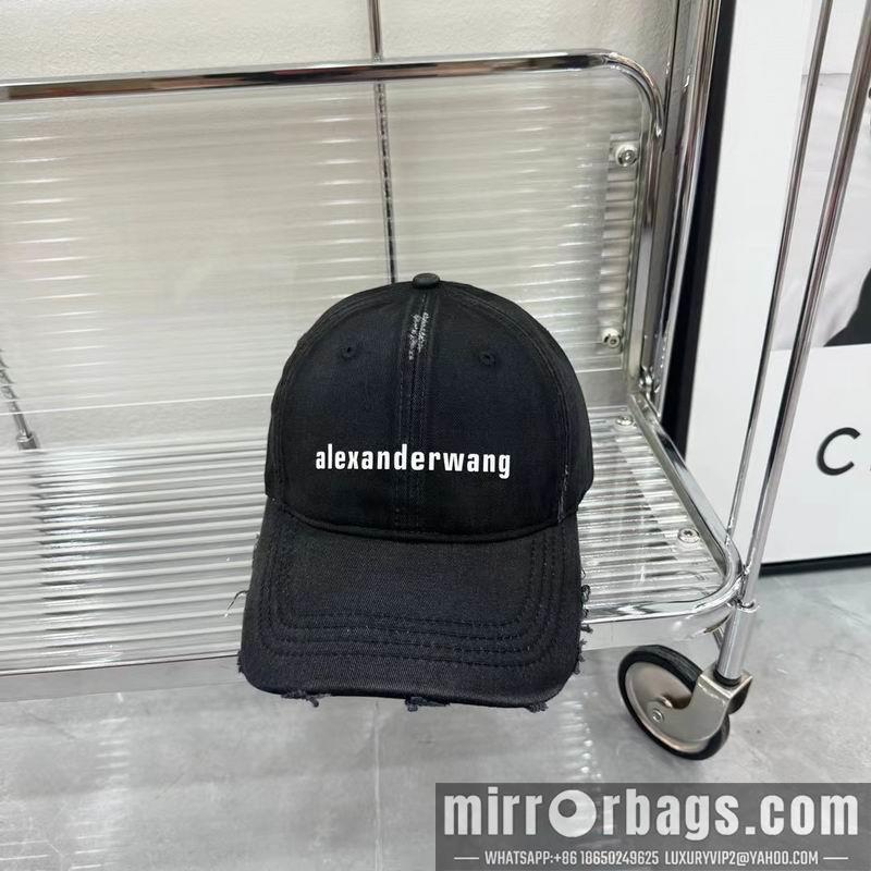 Alexander Wang Hat dx01