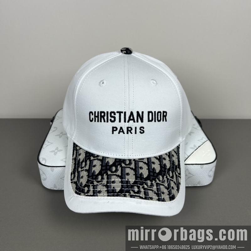 Dior Hat dx13