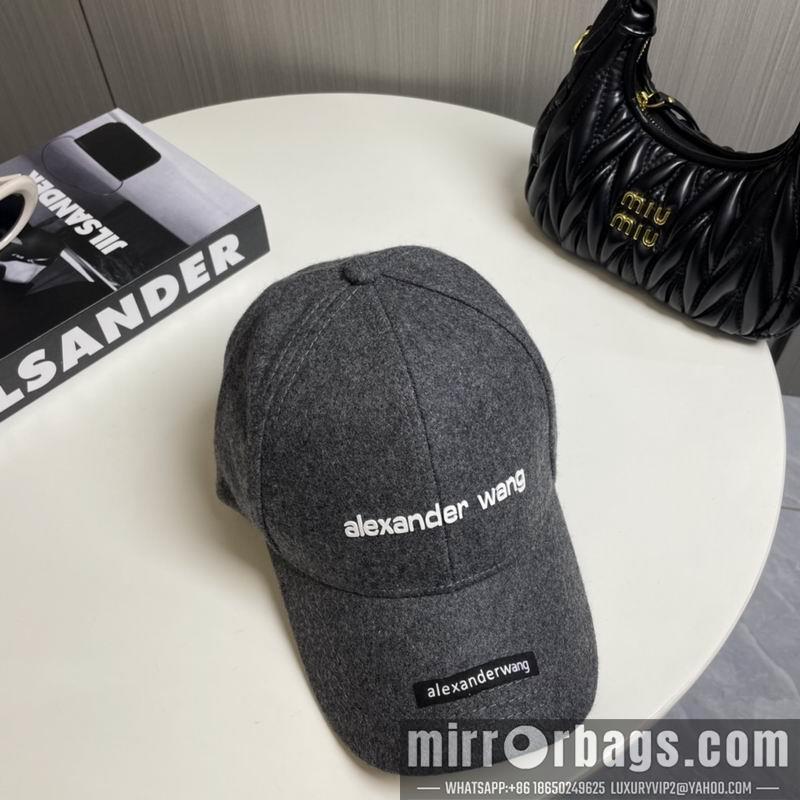 Alexander Wang Hat dx16