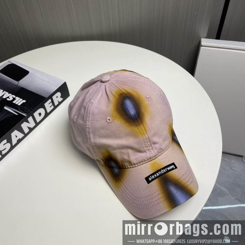 Alexander Wang Hat dx17