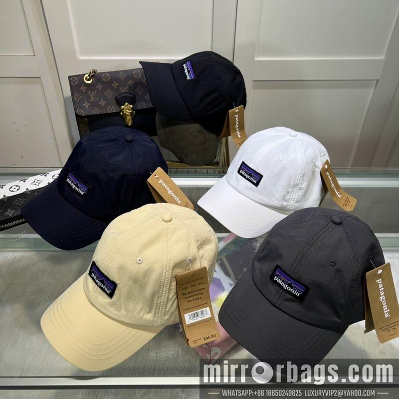 Patagonia Hat dx08