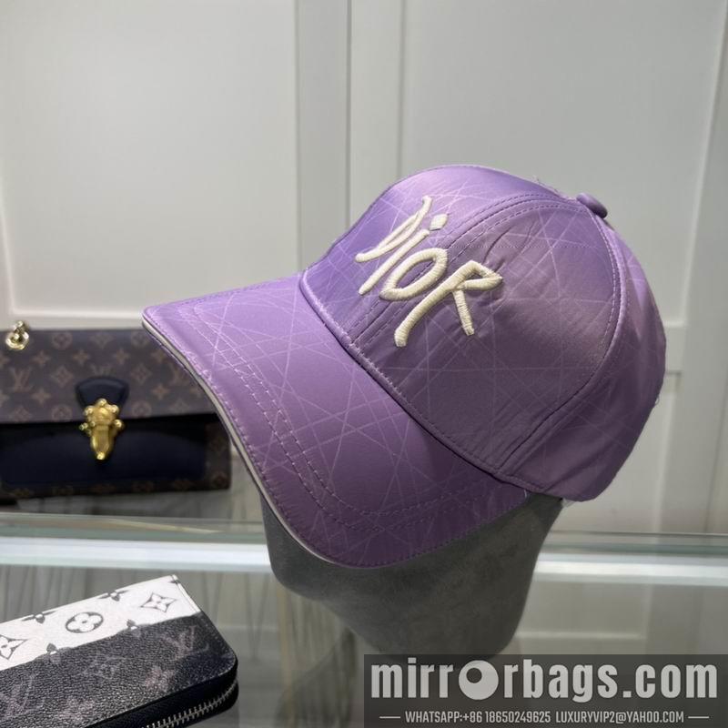 Dior Hat dx58