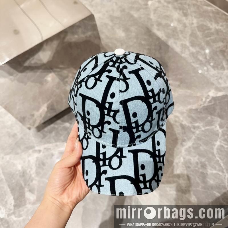 Dior Hat dx13