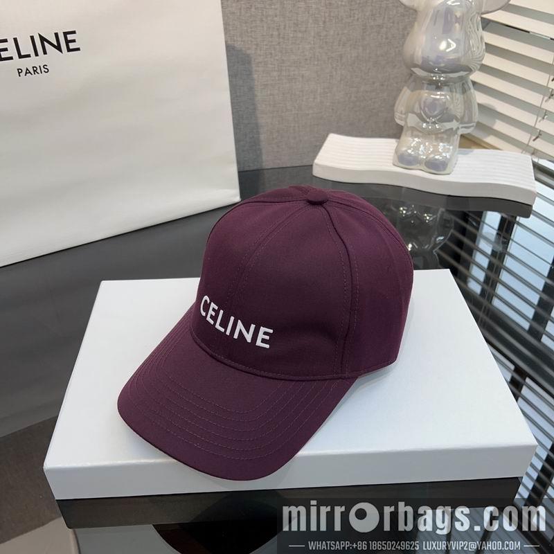 Celine Hat dx80