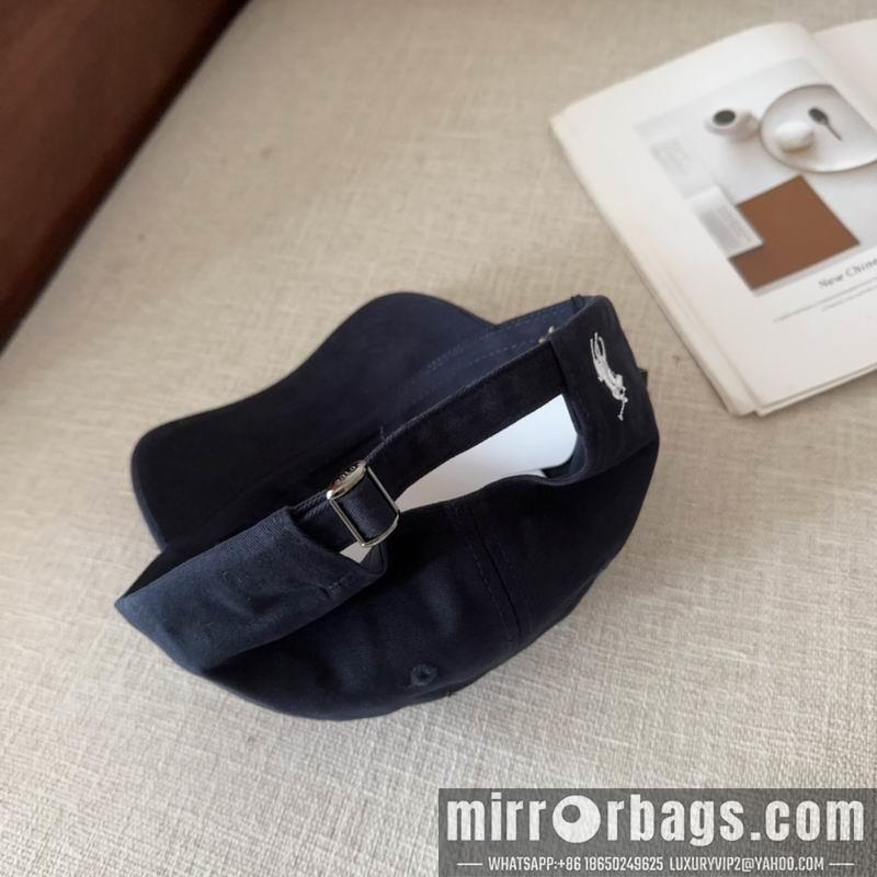Polo Hat 011503
