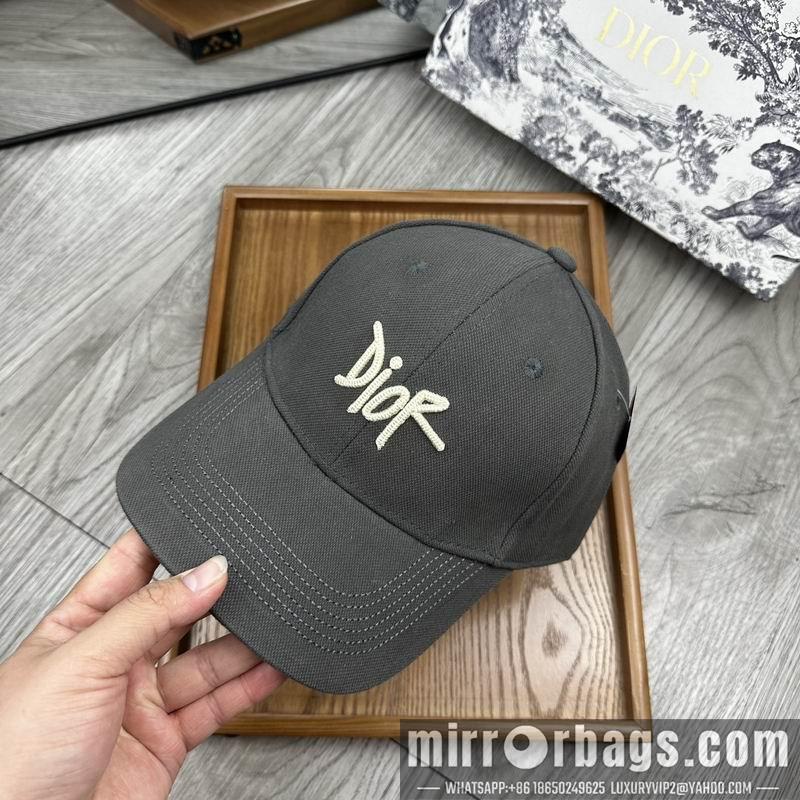 Dior Hat dx11
