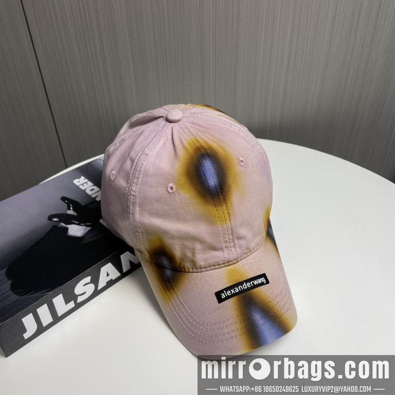 Alexander Wang Hat dx17