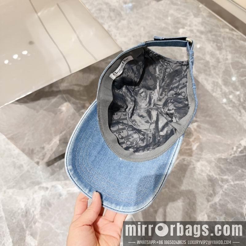 Dior Hat dx11