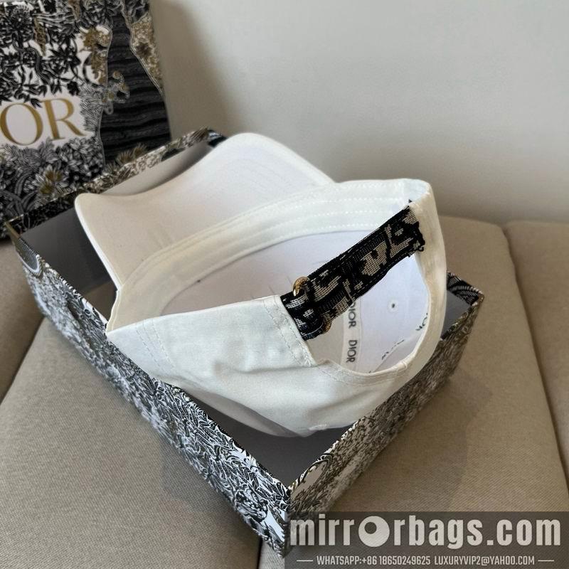 Dior Hat dx18