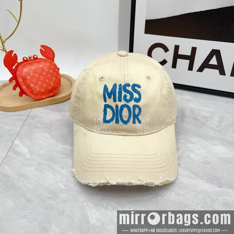 Dior Hat dx01