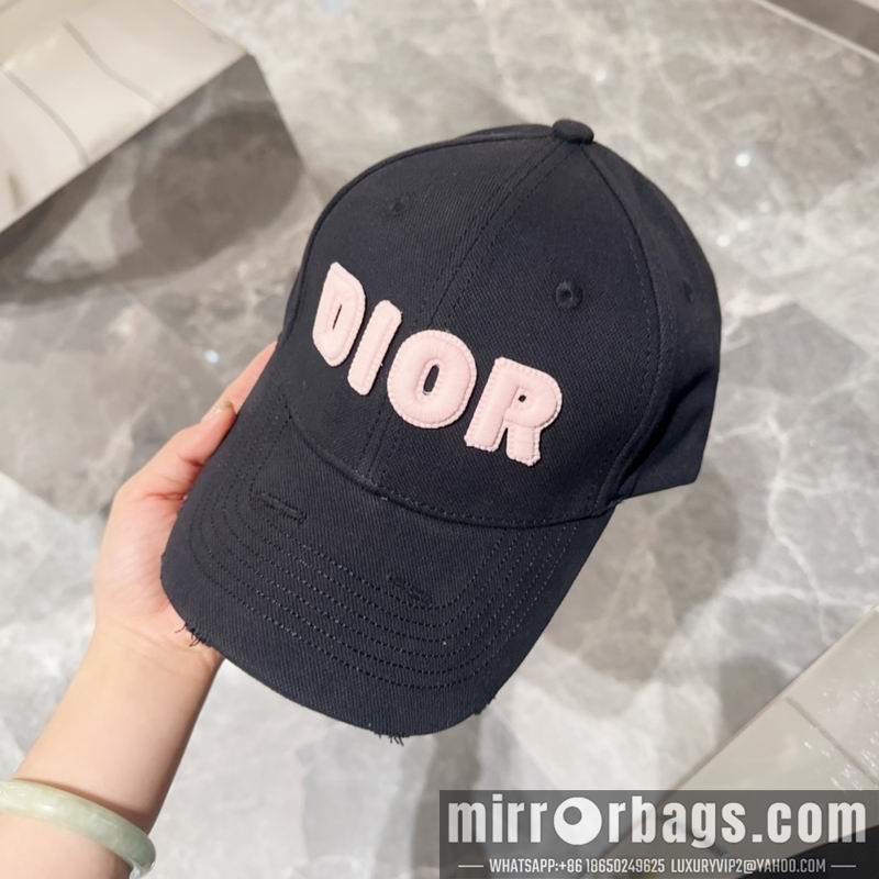 Dior Hat dx12