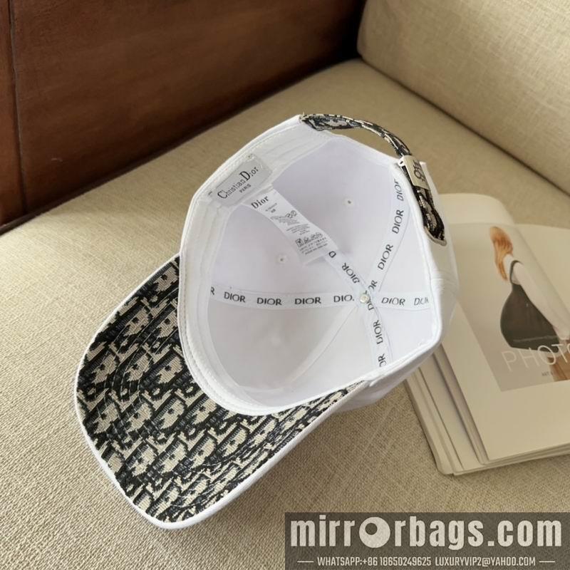 Dior Hat dx11