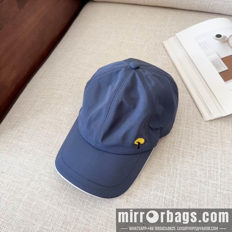 Loro Piana Hat dx14