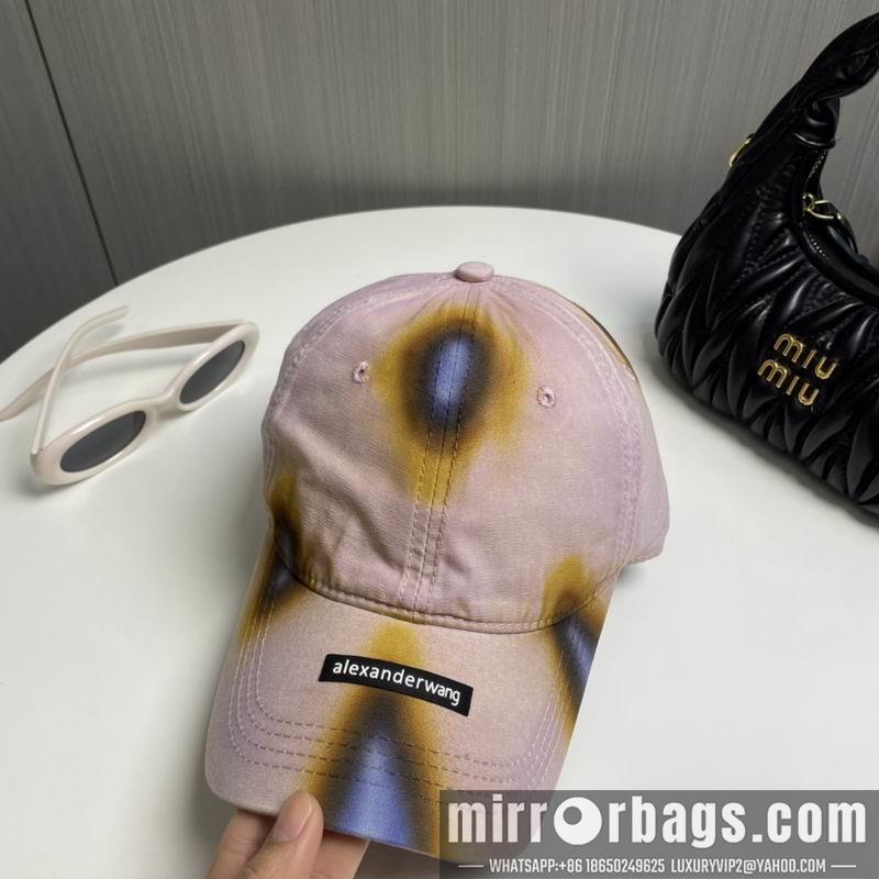 Alexander Wang Hat dx17