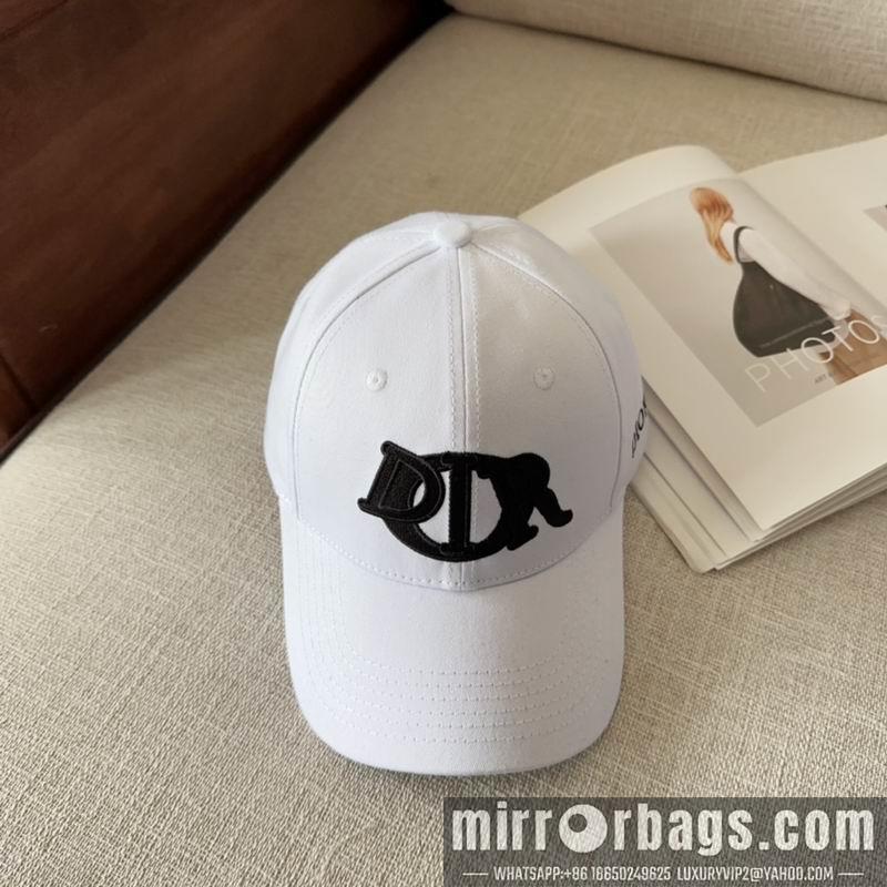Dior Hat dx11