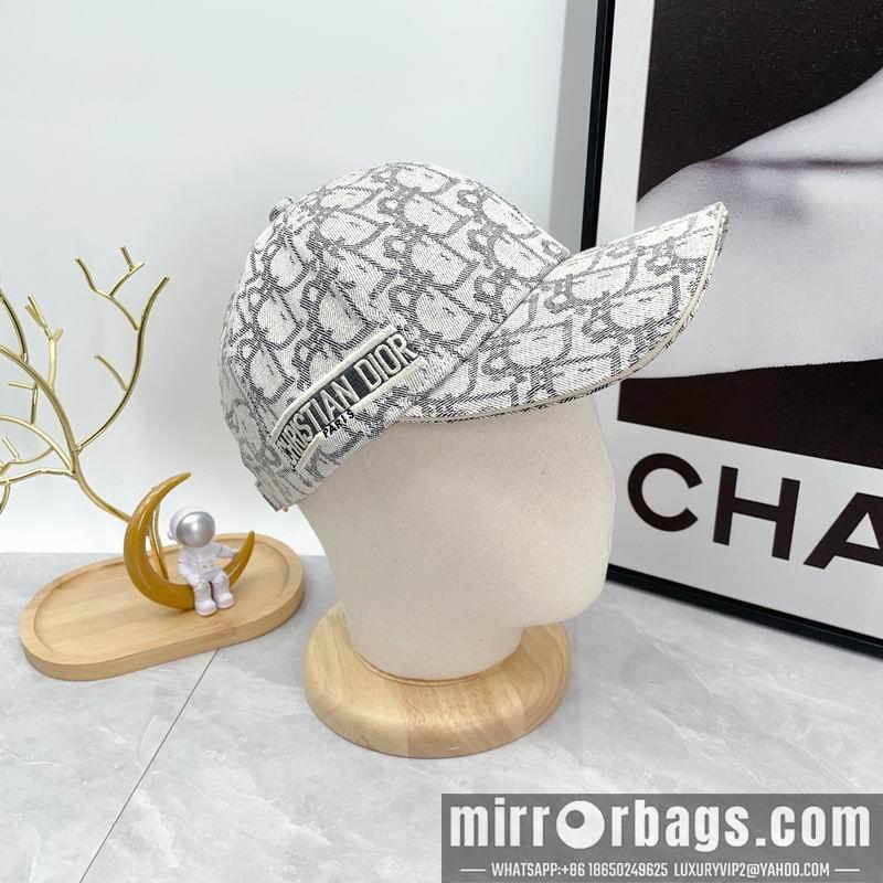 Dior Hat dx12