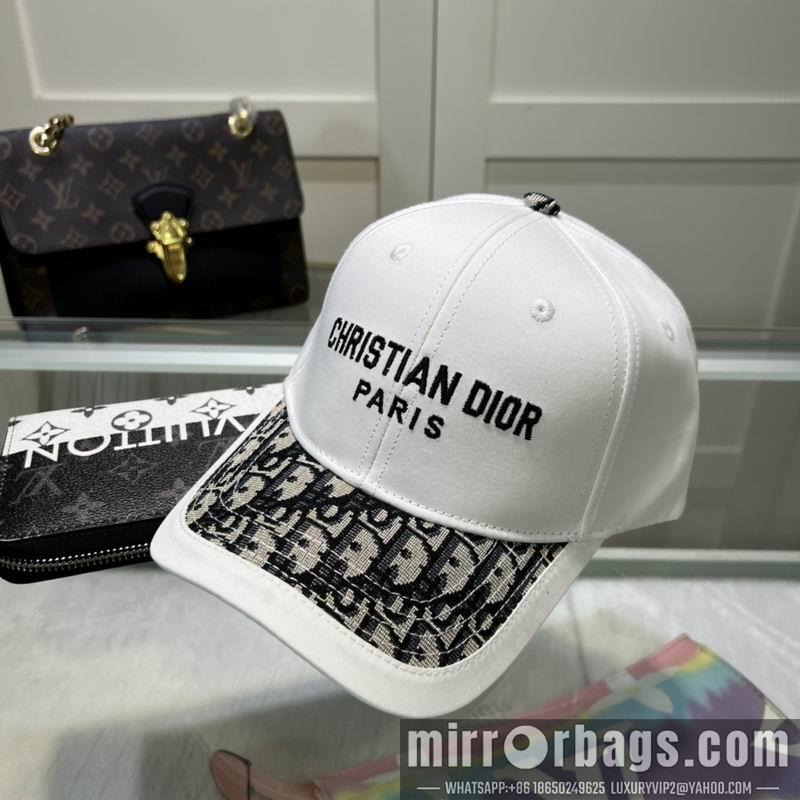 Dior Hat dx10