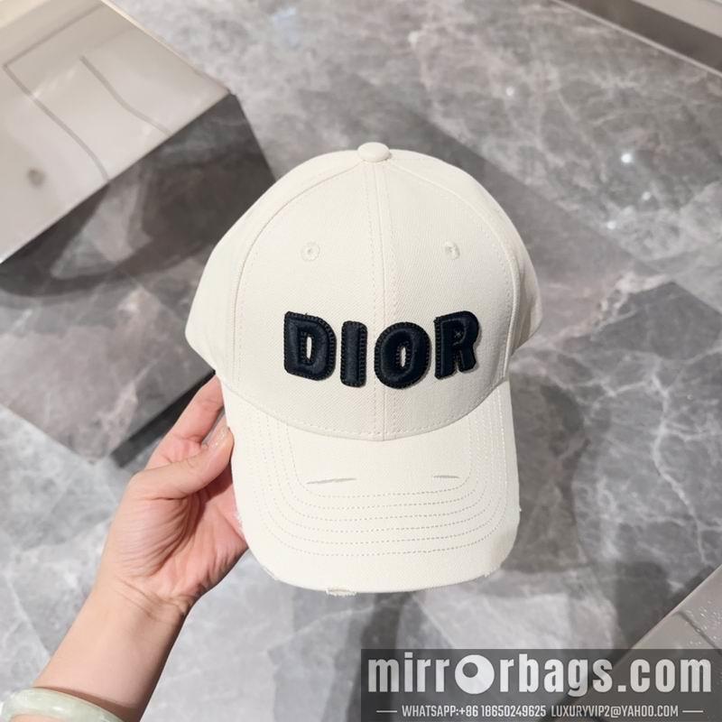 Dior Hat dx12