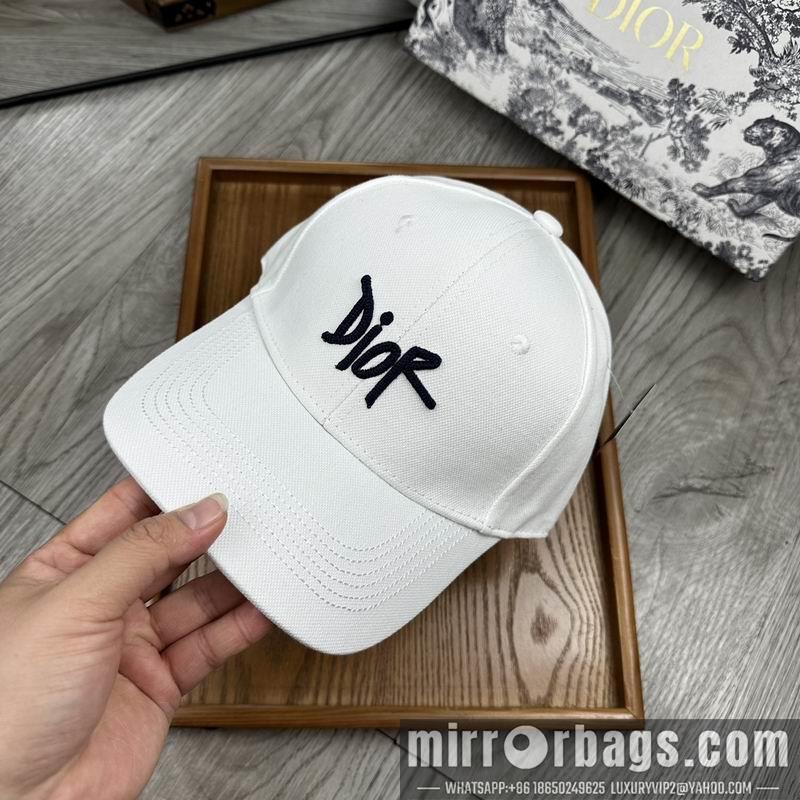 Dior Hat dx11