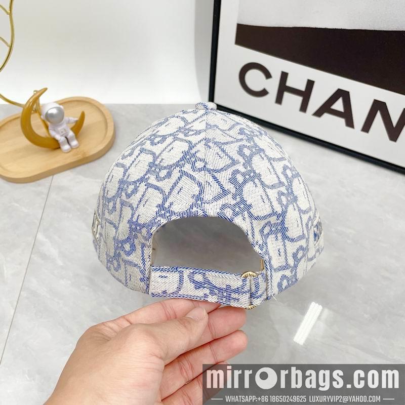 Dior Hat dx12