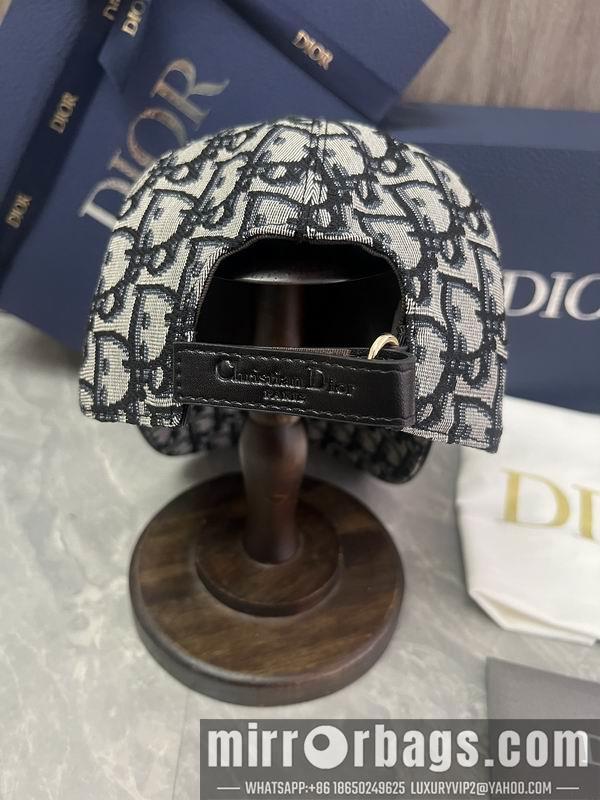 Dior Hat dx06