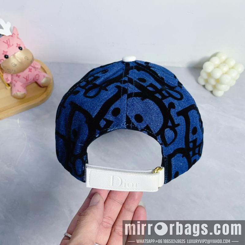 Dior Hat dx09