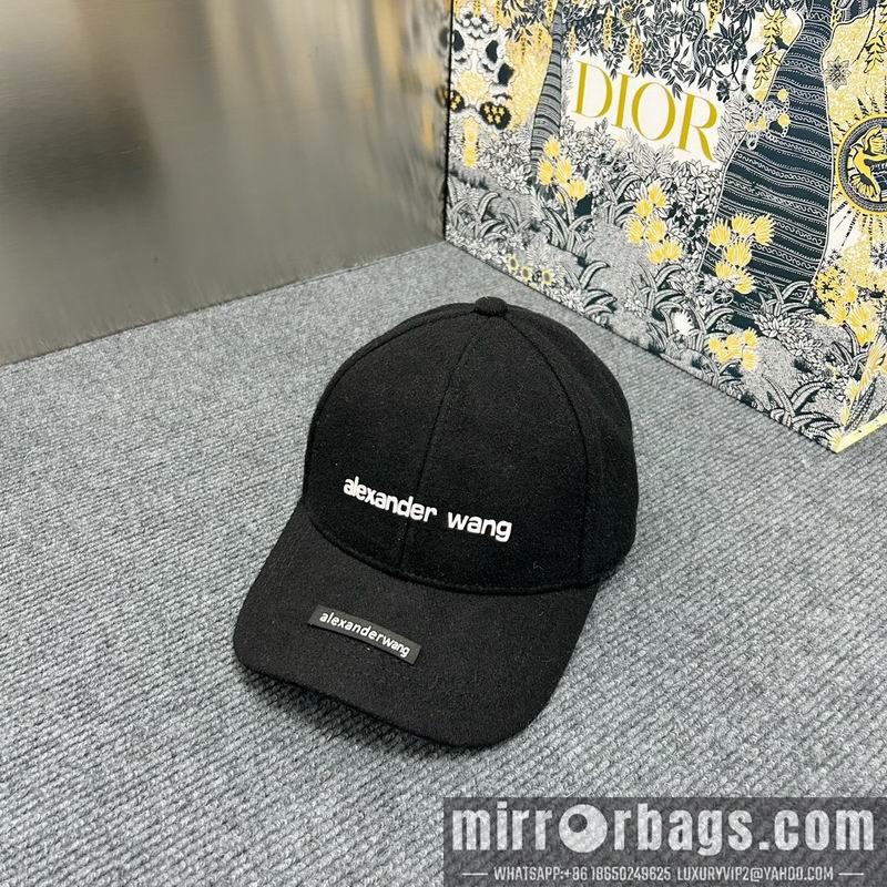 Alexander Wang Hat dx15