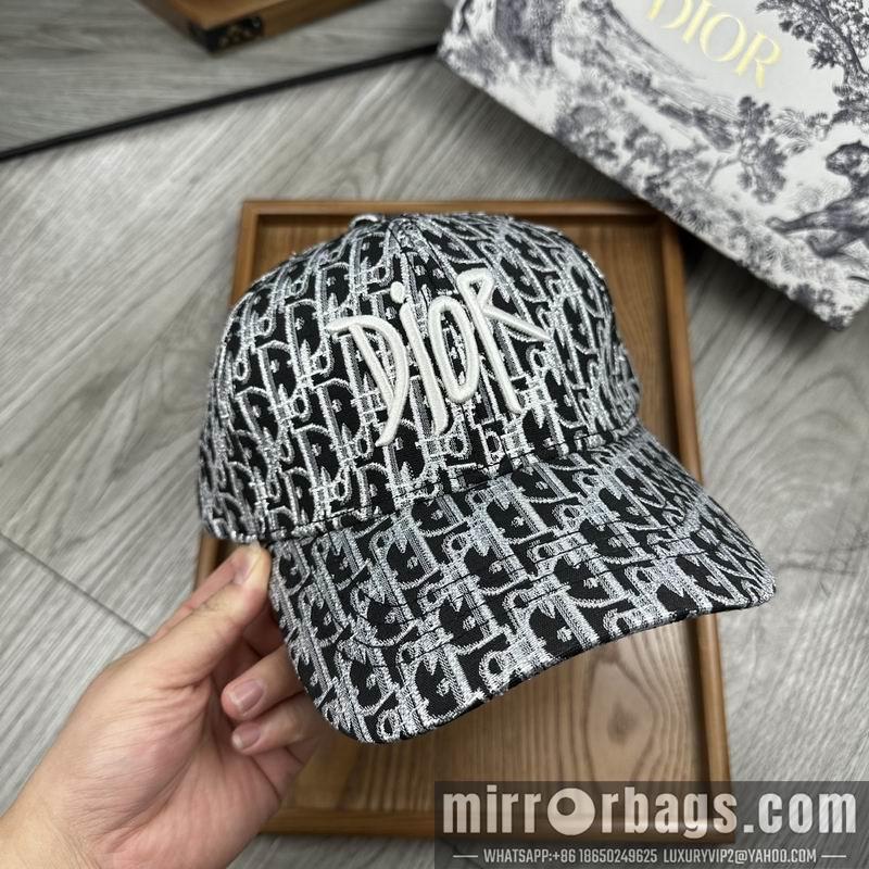 Dior Hat dx12