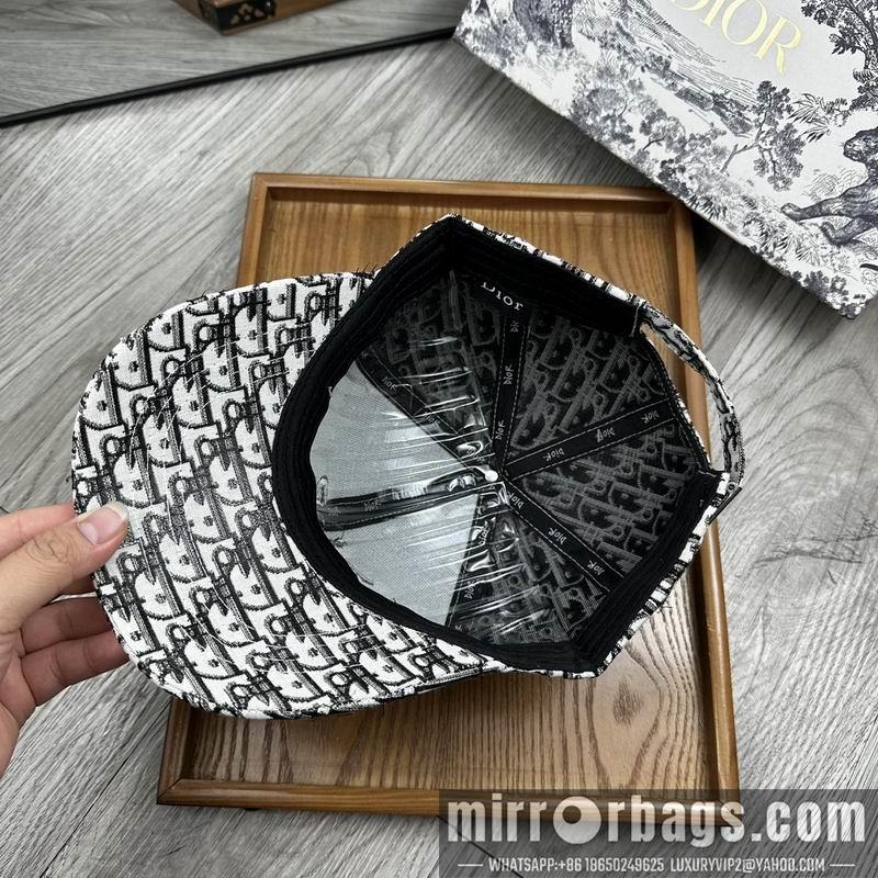 Dior Hat dx12